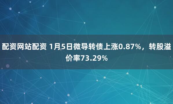 配资网站配资 1月5日微导转债上涨0.87%，转股溢价率73.29%